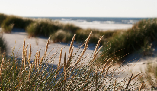 Ostsee-Flow - Entspannen Sie 6 Nächte und zahlen Sie nur 5! - grafika