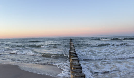 Taniej w tygodniu! Specjalne ceny ze śniadaniem i obiadokolacją od niedzieli do piątku! - grafika