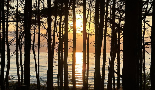 Oferta bezzwrotna ze śniadaniem i obiadokolacją - grafika